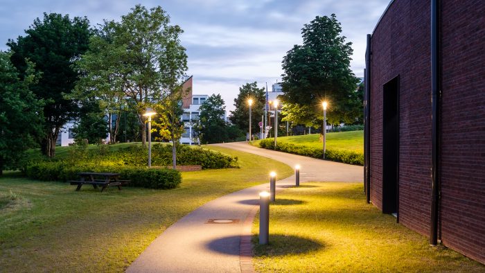 Galeriebild – Zum Vergrößern klicken: 