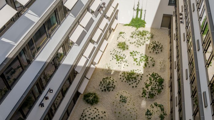 Galeriebild – Zum Vergrößern klicken: 