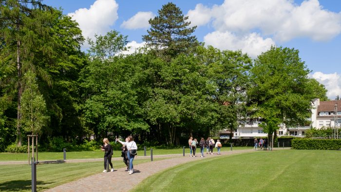 Galeriebild – Zum Vergrößern klicken: 