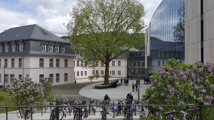 Galeriebild – Zum Vergrößern klicken: 