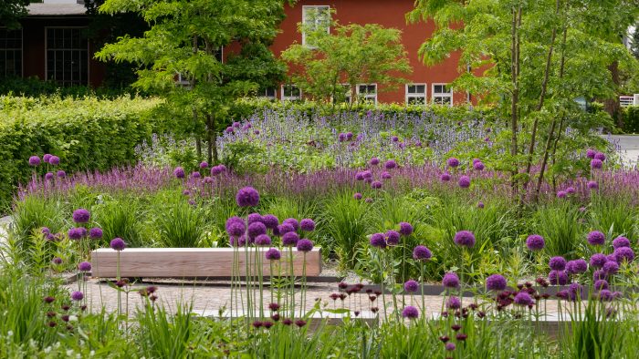 Galeriebild – Zum Vergrößern klicken: 