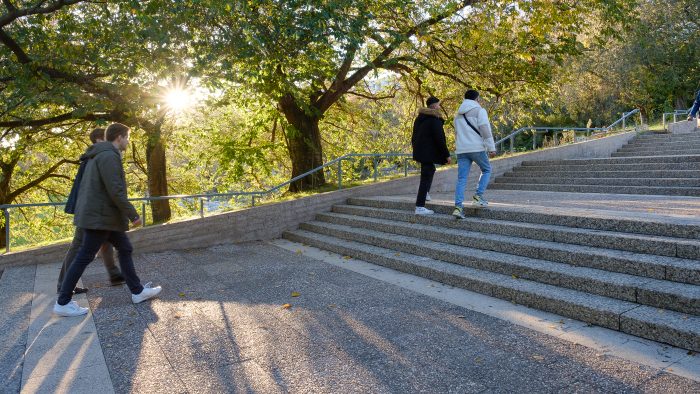 Galeriebild – Zum Vergrößern klicken: 