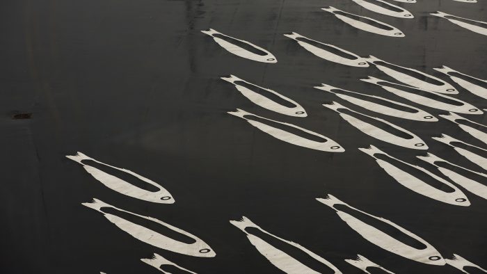 Galeriebild – Zum Vergrößern klicken: 