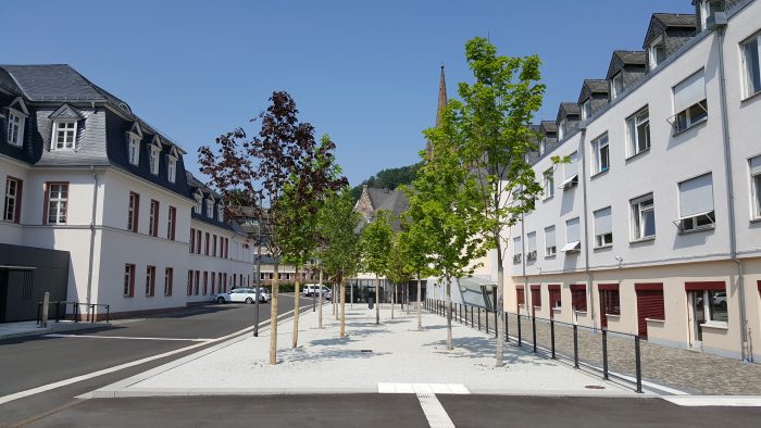 Galeriebild – Zum Vergrößern klicken: 