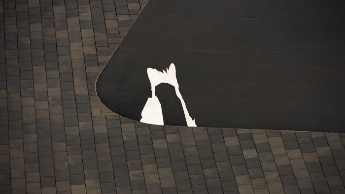 Galeriebild – Zum Vergrößern klicken: 