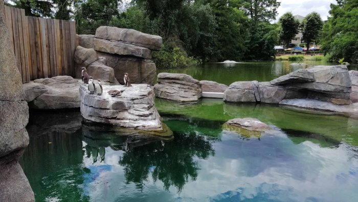 Galeriebild – Zum Vergrößern klicken: 