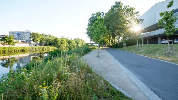 Galeriebild – Zum Vergrößern klicken: 
