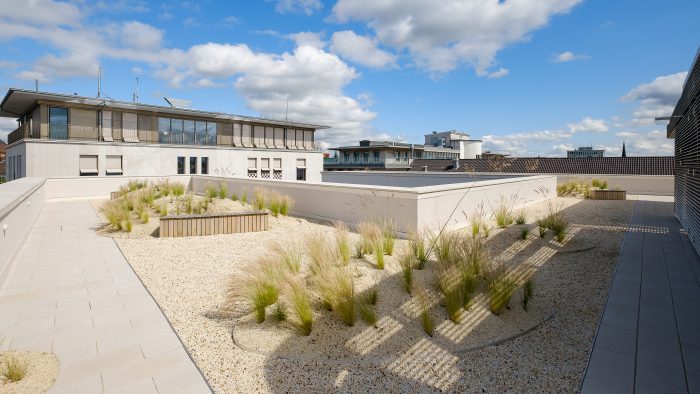 Galeriebild – Zum Vergrößern klicken: 