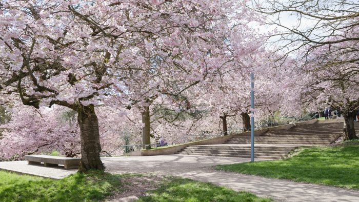 Galeriebild – Zum Vergrößern klicken: 