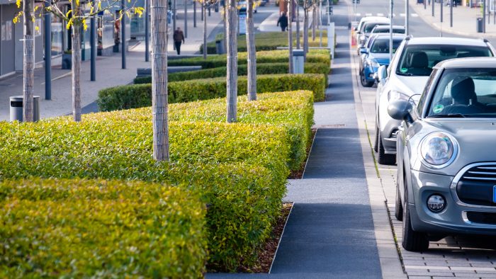 Galeriebild – Zum Vergrößern klicken: 