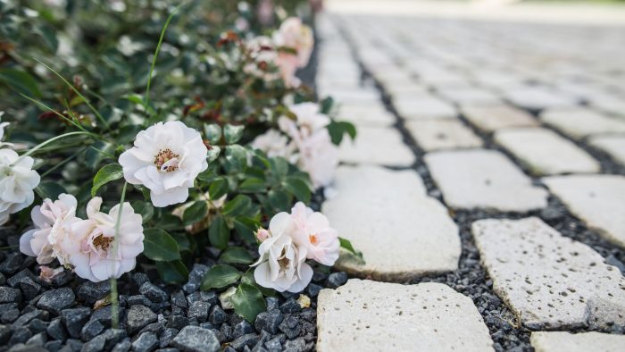 Galeriebild – Zum Vergrößern klicken: 