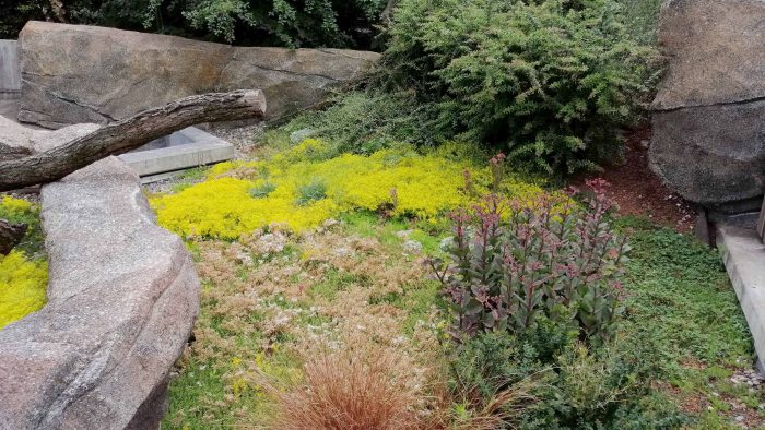 Galeriebild – Zum Vergrößern klicken: 