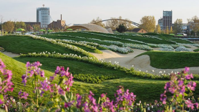 Galeriebild – Zum Vergrößern klicken: 