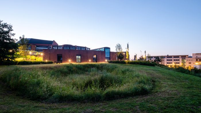 Galeriebild – Zum Vergrößern klicken: 