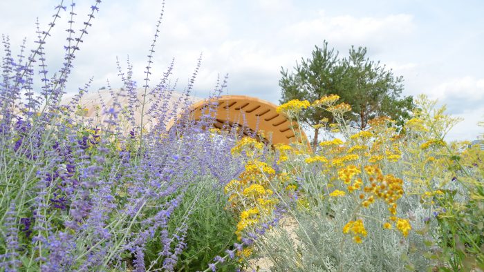 Galeriebild – Zum Vergrößern klicken: 