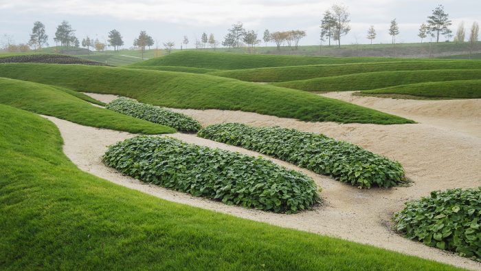 Galeriebild – Zum Vergrößern klicken: 