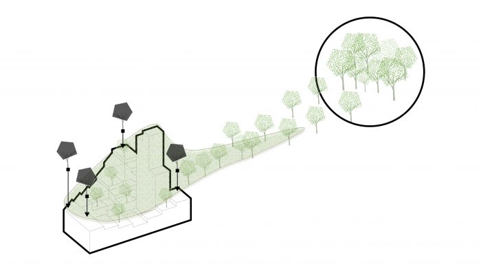 Galeriebild – Zum Vergrößern klicken: 