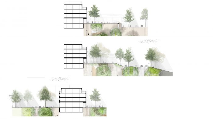 Galeriebild – Zum Vergrößern klicken: 