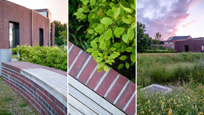 Galeriebild – Zum Vergrößern klicken: 