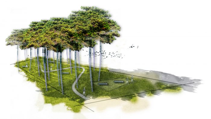 Galeriebild – Zum Vergrößern klicken: 