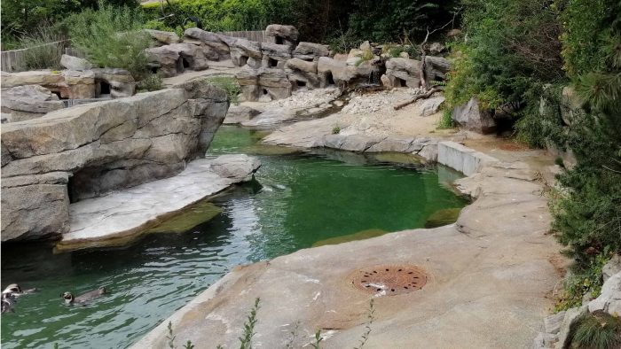 Galeriebild – Zum Vergrößern klicken: 