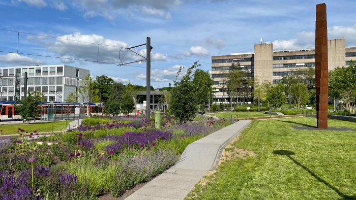 Galeriebild – Zum Vergrößern klicken: 