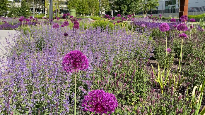 Galeriebild – Zum Vergrößern klicken: 