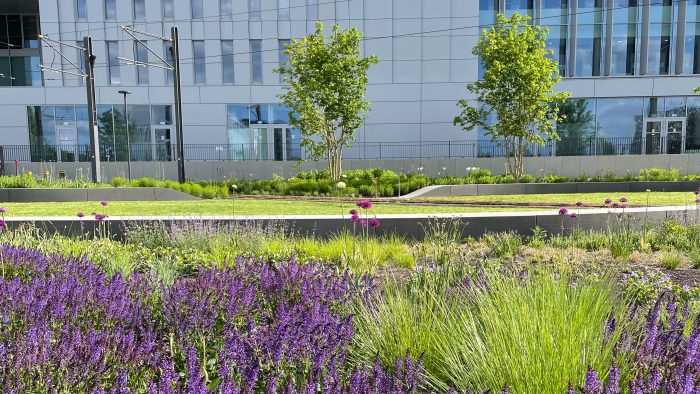 Galeriebild – Zum Vergrößern klicken: 